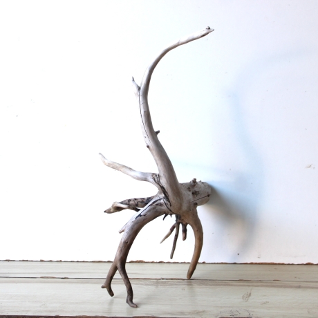 Treibholz Schwemmholz Driftwood 1  Wurzel  Terrarium 46 cm 