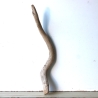 Treibholz Schwemmholz Driftwood 1 Ast  Garderobe 55  cm  