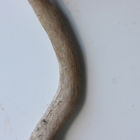 Treibholz Schwemmholz Driftwood 1 Ast  Garderobe 55  cm  