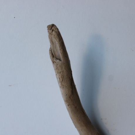 Treibholz Schwemmholz Driftwood 1 Ast  Garderobe 55  cm  