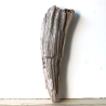 Treibholz Schwemmholz Driftwood 1 knorrige  Skulptur  59 cm hoch