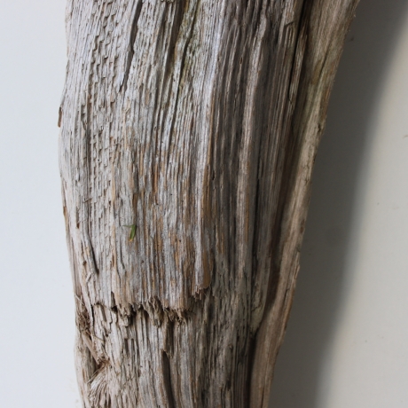 Treibholz Schwemmholz Driftwood 1 knorrige  Skulptur  59 cm hoch