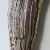 Treibholz Schwemmholz Driftwood 1 knorrige  Skulptur  59 cm hoch