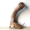 Treibholz Schwemmholz Driftwood 1 XXL  Wurzel  Terrarium 68 cm 