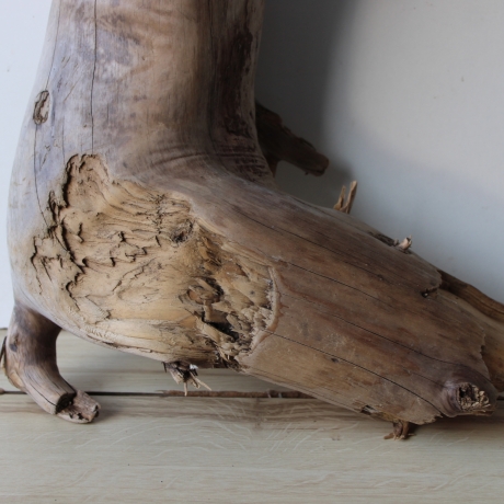 Treibholz Schwemmholz Driftwood 1 XXL  Wurzel  Terrarium 68 cm 