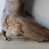 Treibholz Schwemmholz Driftwood 1 XXL  Wurzel  Terrarium 68 cm 