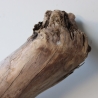 Treibholz Schwemmholz Driftwood 1 XXL  Wurzel  Terrarium 68 cm 