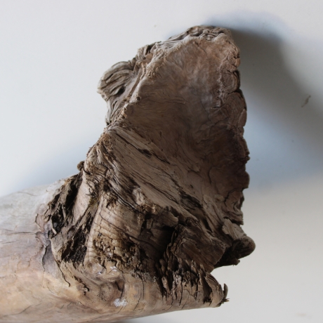 Treibholz Schwemmholz Driftwood 1 XXL  Wurzel  Terrarium 68 cm 