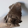 Treibholz Schwemmholz Driftwood 1 XXL  Wurzel  Terrarium 68 cm 