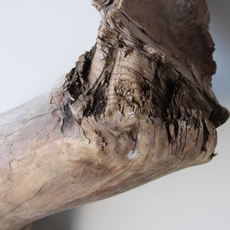 Treibholz Schwemmholz Driftwood 1 XXL  Wurzel  Terrarium 68 cm 