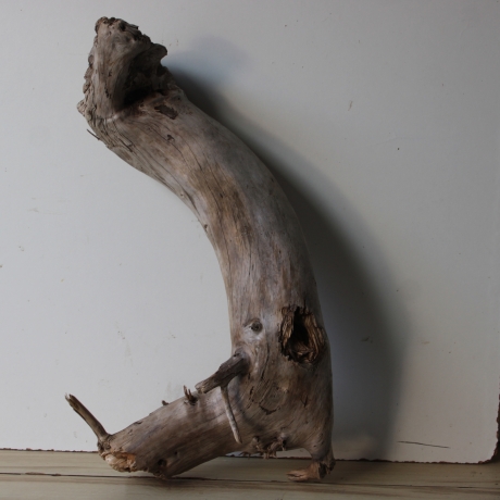 Treibholz Schwemmholz Driftwood 1 XXL  Wurzel  Terrarium 68 cm 