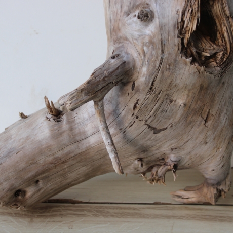 Treibholz Schwemmholz Driftwood 1 XXL  Wurzel  Terrarium 68 cm 