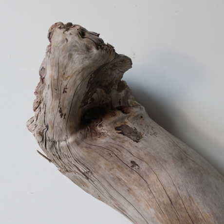 Treibholz Schwemmholz Driftwood 1 XXL  Wurzel  Terrarium 68 cm 