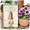 Holzschild-Shabby Pilz I