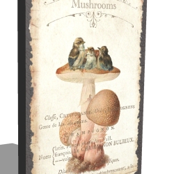 Holzschild-Shabby Pilz VI