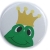 Button 50 mm mit Anstecknadel Motiv Tiere Frosch Frösche