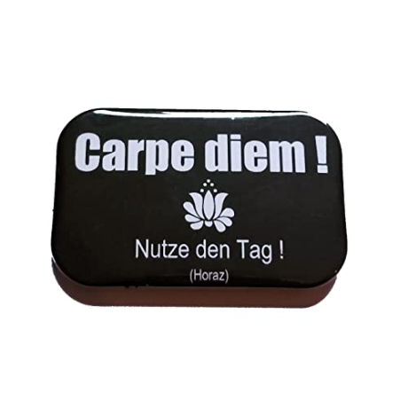 Button Rechteckig groß Spruch Latein Redewendungen Carpe diem