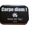 Button Rechteckig groß Spruch Latein Redewendungen Carpe diem