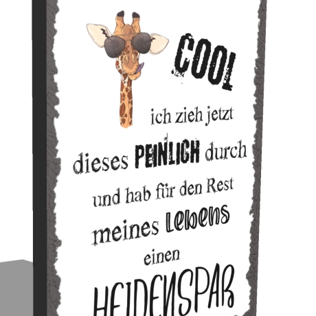 Holzschild-Shabby Cool