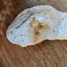 Ohrhänger vergoldet mit zartem Ginkgo Blatt
