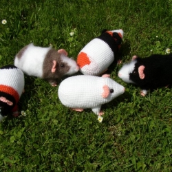 Häkelanleitung Meerschweinchen - PDF-Datei