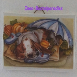 3D Bild Hunde 002
