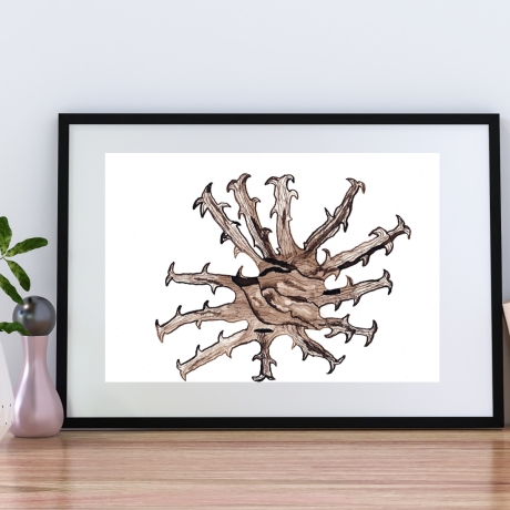 Teufelskralle Handgezeichnete Tuschezeichnung Original