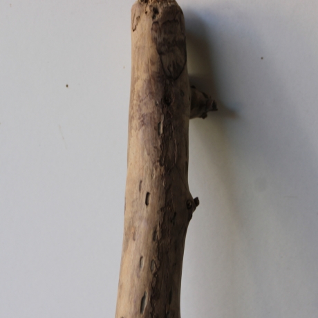 Treibholz Schwemmholz Driftwood 1 XXL Ast  Garderobe 114 cm 