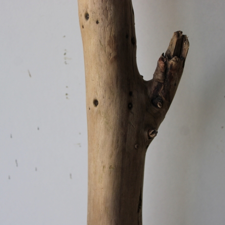 Treibholz Schwemmholz Driftwood 1 XXL Ast  Garderobe 114 cm 