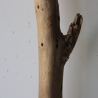 Treibholz Schwemmholz Driftwood 1 XXL Ast  Garderobe 114 cm 