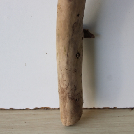Treibholz Schwemmholz Driftwood 1 XXL Ast  Garderobe 114 cm 