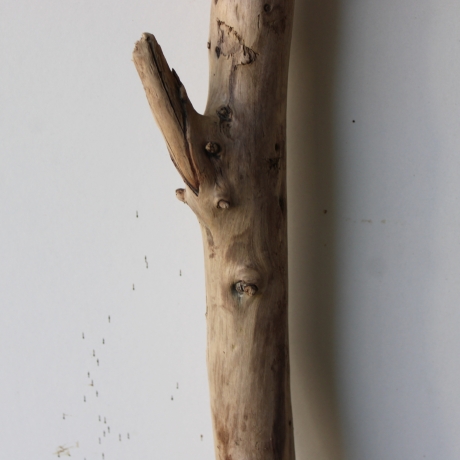 Treibholz Schwemmholz Driftwood 1 XXL Ast  Garderobe 114 cm 