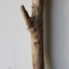 Treibholz Schwemmholz Driftwood 1 XXL Ast  Garderobe 114 cm 