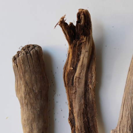 Treibholz Schwemmholz Driftwood 3 Hölzer Terrarium 43 - 51 cm 