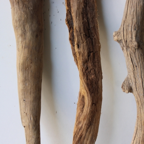 Treibholz Schwemmholz Driftwood 3 Hölzer Terrarium 43 - 51 cm 