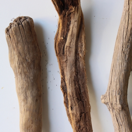 Treibholz Schwemmholz Driftwood 3 Hölzer Terrarium 43 - 51 cm 