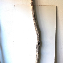 Treibholz Schwemmholz Driftwood 1 MEGA Stamm  Terrarium 174 cm 