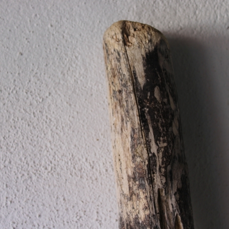Treibholz Schwemmholz Driftwood 1 MEGA Stamm  Terrarium 174 cm 