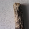 Treibholz Schwemmholz Driftwood 1 MEGA Stamm  Terrarium 174 cm 