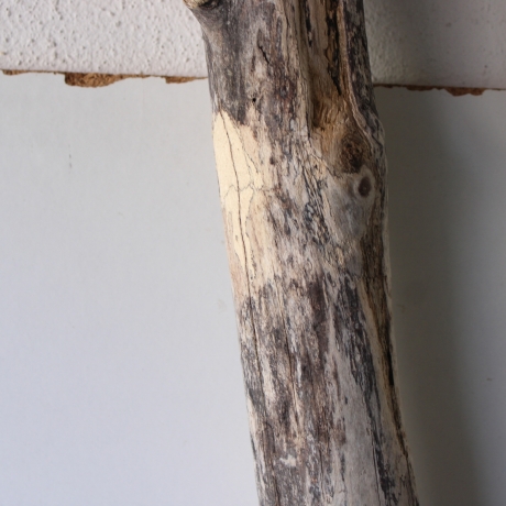 Treibholz Schwemmholz Driftwood 1 MEGA Stamm  Terrarium 174 cm 