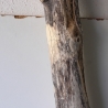 Treibholz Schwemmholz Driftwood 1 MEGA Stamm  Terrarium 174 cm 