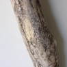 Treibholz Schwemmholz Driftwood 1 MEGA Stamm  Terrarium 174 cm 