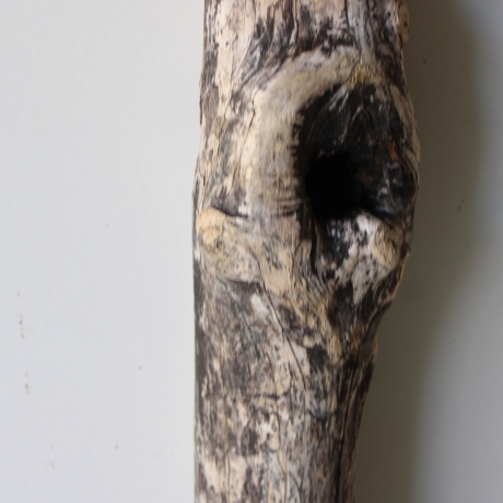 Treibholz Schwemmholz Driftwood 1 MEGA Stamm  Terrarium 174 cm 