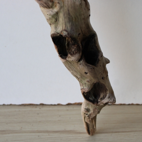 Treibholz Schwemmholz Driftwood 1 XL Ast  Garderobe 101 cm 