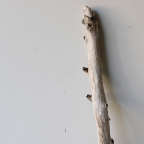 Treibholz Schwemmholz Driftwood 1 XL Ast  Garderobe 101 cm 