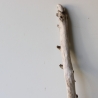 Treibholz Schwemmholz Driftwood 1 XL Ast  Garderobe 101 cm 