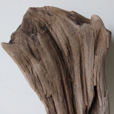 Treibholz Schwemmholz Driftwood 1   Skulptur  29 cm 