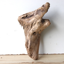 Treibholz Schwemmholz Driftwood 1   Skulptur  28 cm 