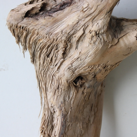 Treibholz Schwemmholz Driftwood 1   Skulptur  28 cm 