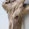 Treibholz Schwemmholz Driftwood 1   Skulptur  28 cm 